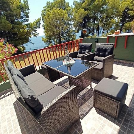 Squirrels, Home With View Metamorfosi  Luaran gambar