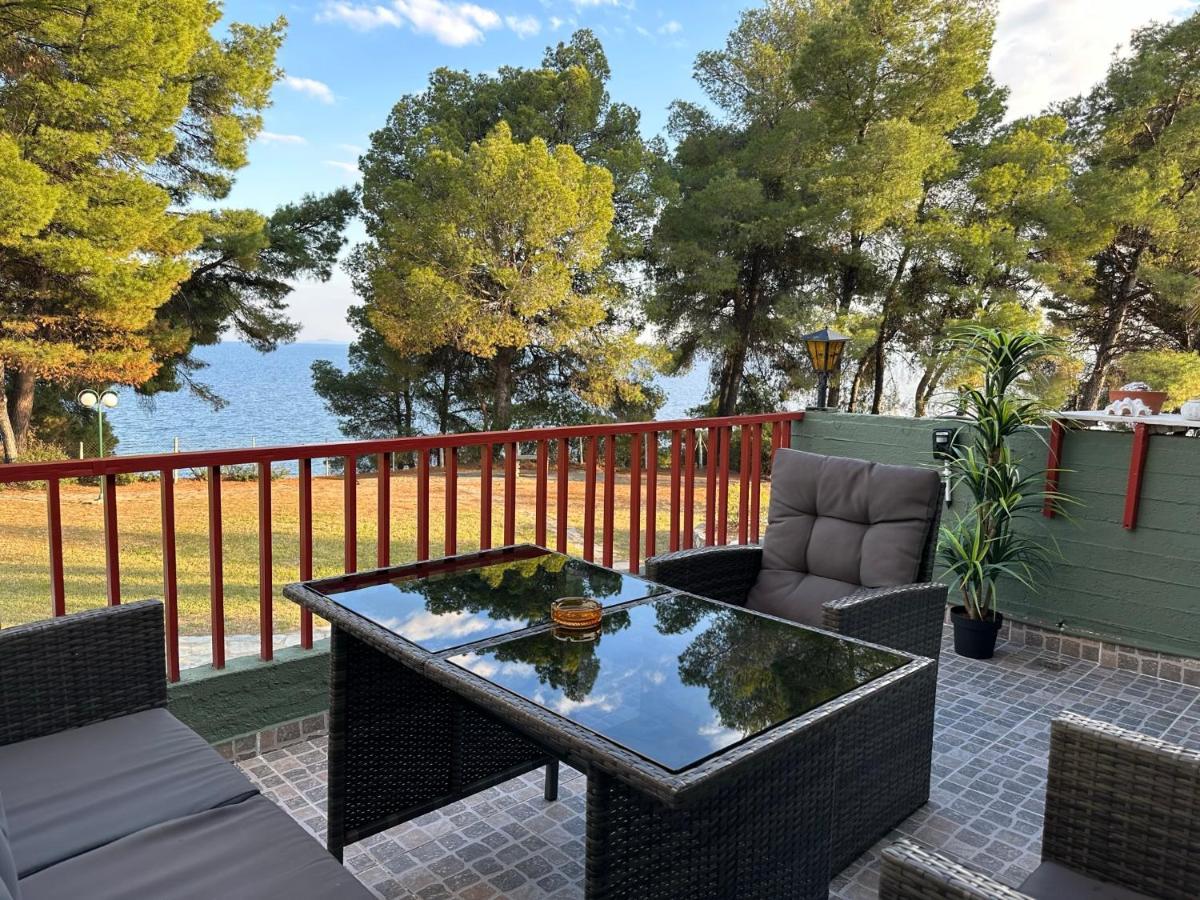 Squirrels, Home With View Metamorfosi  Luaran gambar