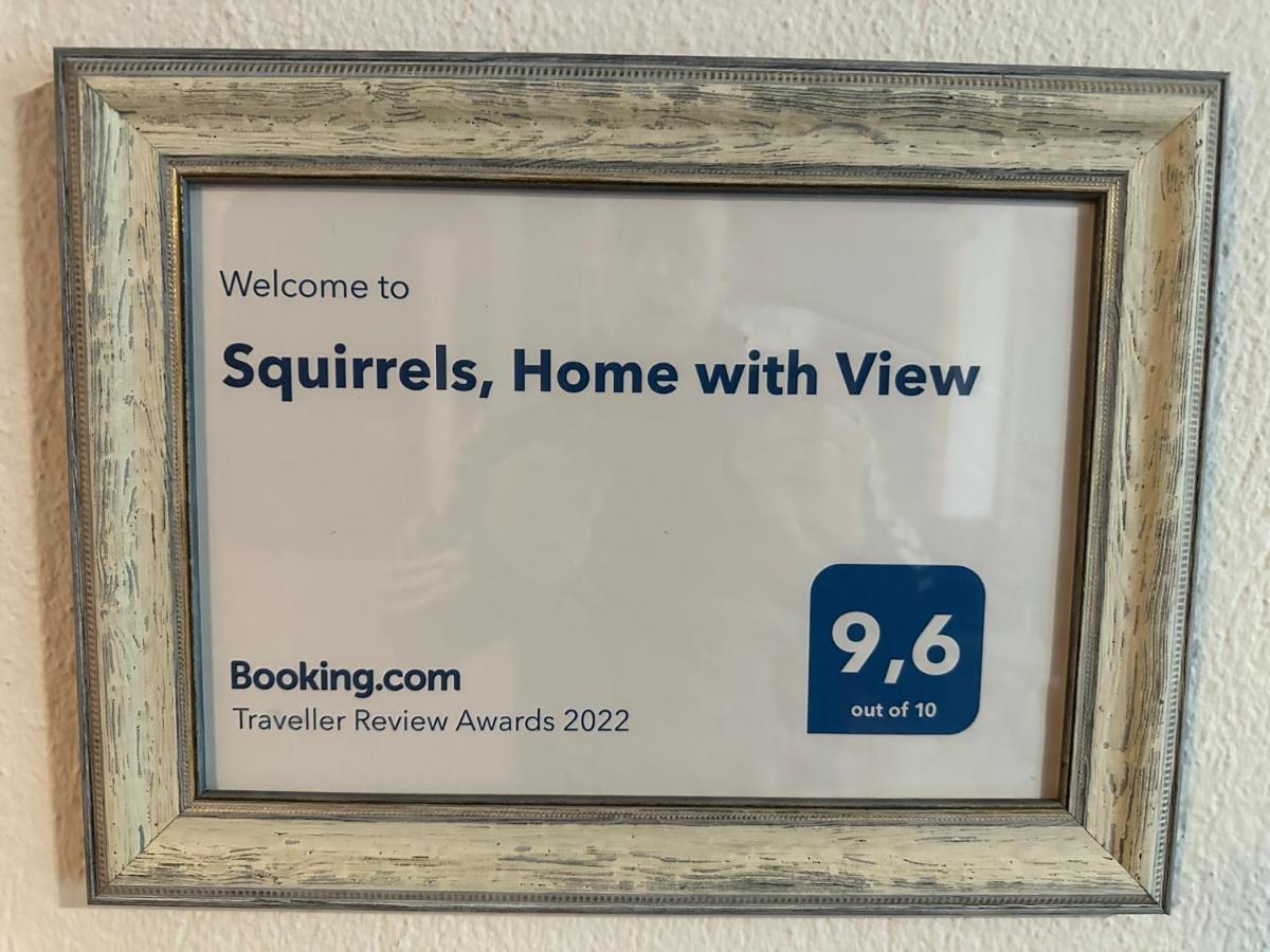 Squirrels, Home With View Metamorfosi  Luaran gambar