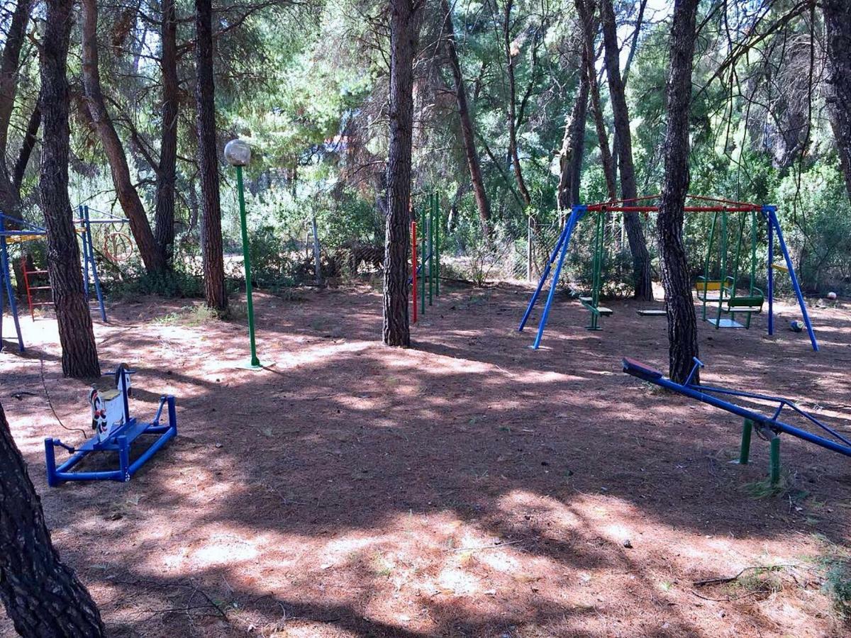 Squirrels, Home With View Metamorfosi  Luaran gambar