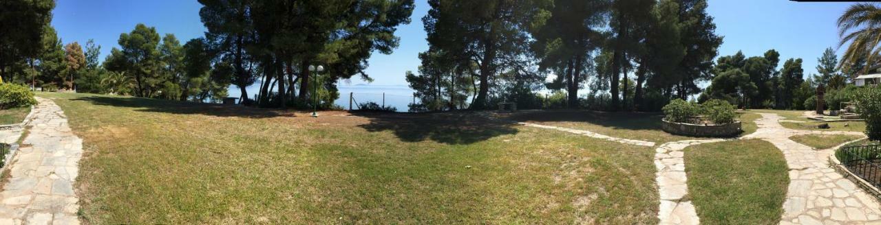 Squirrels, Home With View Metamorfosi  Luaran gambar